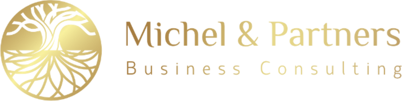 Michel & Partners — Business Consulting